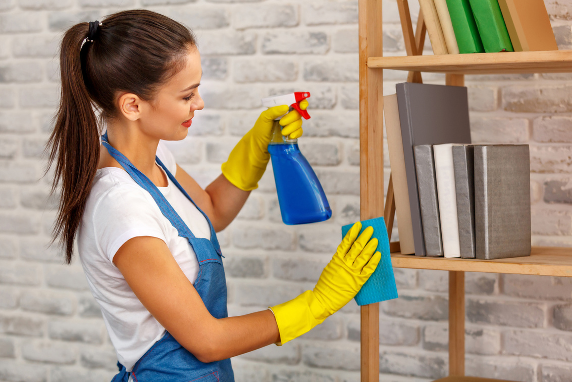 Concept for home cleaning services